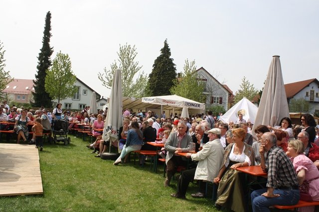 Maibaum 2013